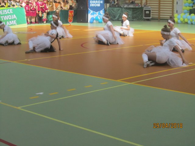 turta 446